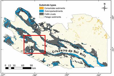 A study of volcanic rocks and ferromanganese crusts through marine geophysical methods integration in the north portion of Cruzeiro do Sul Rift in the Rio Grande Rise